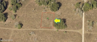 2306 Van Buren St, Inverness, FL 34453