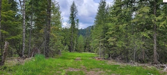 NNA Pup Paw Trail - North Parcel, Priest River, ID 83856