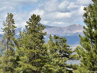 30385 National Forest Dr, Buena Vista, CO 81211