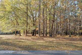 266 Red Fox Run Dr, Wallace, NC 28466