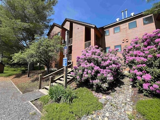 6F Deer Creek Rd, Dover, VT 05356