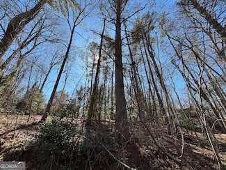 0 Waterfall Dr Unit 9 10472076, Cleveland, GA 30528