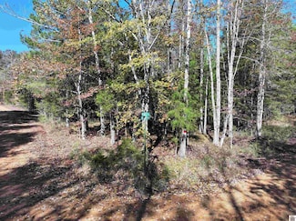 0 Smelser Dr Unit 134595, Murray, KY 42071