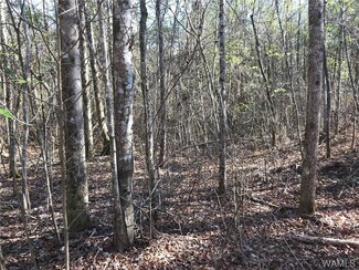 0 Highway 43 Unit 127065, Bankston, AL 35542