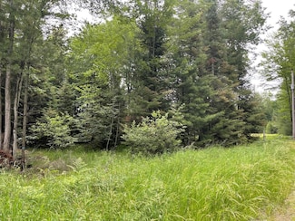 Lot 175 Nestle Rd, Prudenville, MI 48651