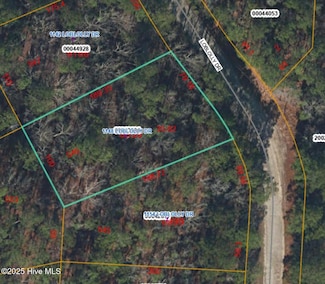 1148 Loblolly Dr, Vass, NC 28394