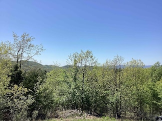 TBD Tract 4 N Chaparral Ln, Mena, AR 71953