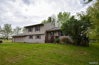 8817 Rezy Rd, Staunton, IL 62088
