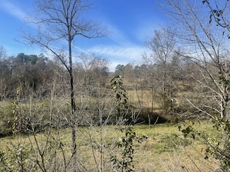 2449 Buffalo Rd, Lawrenceburg, TN 38464