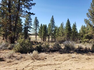 0 Parcel Id 266919 Unit 220106982, Sprague River, OR 97639