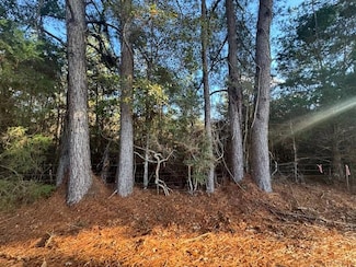 TBD Tom Warner Rd, Tylertown, MS 39667