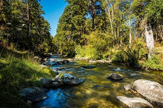 39 Fish Hatchery Rd, Story, WY 82842