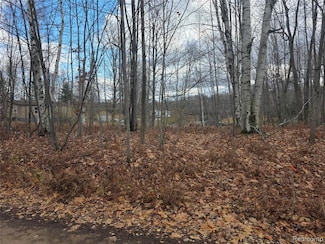 VL Birch Rd, Hartwick Township, MI 49631