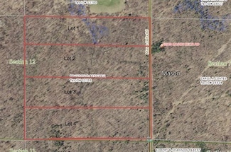 Lot 1 Mason Delta Rd, Delta, WI 54856