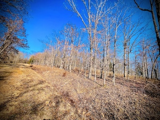 0 Corcoran Pl Ofc, Edwards, MO 65326