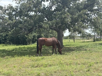 1430 Antioch Rd, Paige, TX 78659