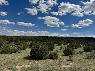 226 Nugent Rd, Edgewood, NM 87015