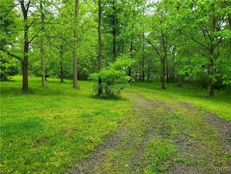 00 Chase Ave, Union Springs, NY 13160