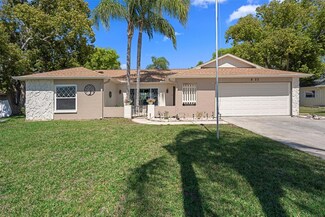 8133 Pagoda Dr, Spring Hill, FL 34606