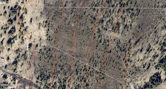 W5 Alaskan Wildwood Ranch(r), Nikolaevsk, AK 99556