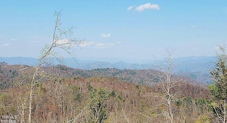 Tbd Walnut Mountain Rd, Roan Mountain, TN 37687