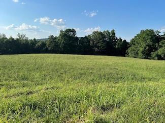 Lot 17 Amonett Cir, Byrdstown, TN 38549