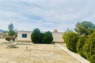 11174 Wintergreen Rd, Pinon Hills, CA 92372
