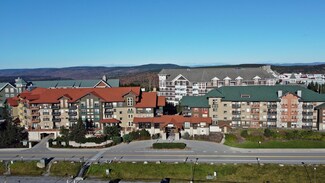 408 Rimfire Dr, Snowshoe, WV 26209