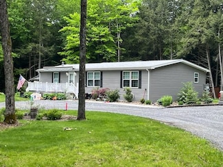 42 Manoah Ln, Morris, PA 16938