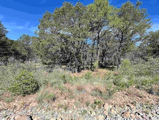 0 Eldorado Dr Unit 23 169869, Timberon, NM 88350