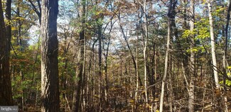 0 Williams Ln Unit 55 & 56 VASH2001422, Basye, VA 22810