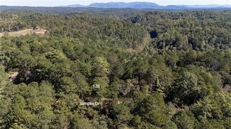 000 Jumper Dr, Ellijay, GA 30540