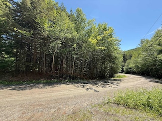 58 Boardman Loop, Wardsboro, VT 05360
