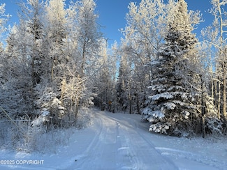 3448 Jack Warren Rd, Delta Junction, AK 99737