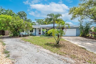 1013 York Ct, Brandon, FL 33510