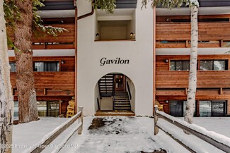 935 E Hopkins Ave Unit 7, Aspen, CO 81611