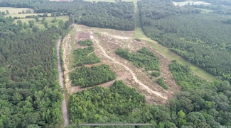 Tract 2 - TBD Oak Hill Rd, Dierks, AR 71833