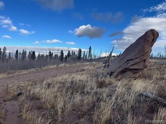 Lot 2544 Petito Dr, Fort Garland, CO 81133