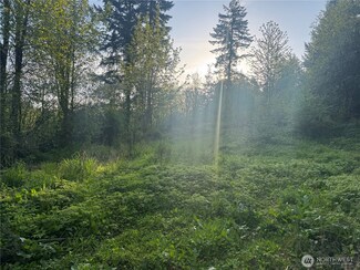 82nd 30th Ave S, Roy, WA 98580