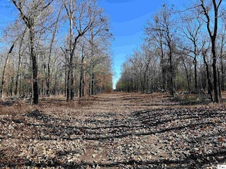 00 Cecil Creek Rd, Dean, LA 71260