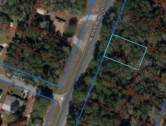 00 NE Sr-121s Hwy, Williston, FL 32696