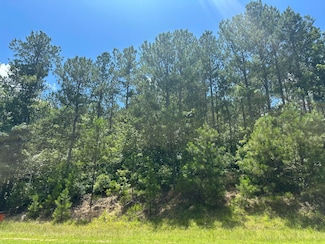 Lot 27 Honeysuckle Dr, Lincolnton, GA 30817