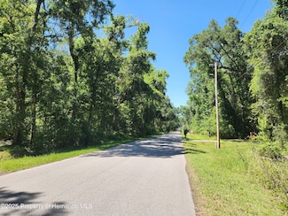 0 Royal Dr, Brooksville, FL 34601