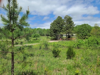 0 Blackland Rd, Pleasant Plains, AR 72568