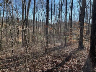 Lot #12E the Woodlands, Hayesville, NC 28904