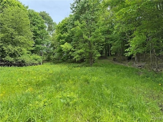 0 Thornton Rd, Sinclairville, NY 14782
