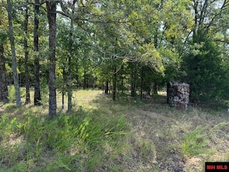 001-03457-002 County Road 38, Clarkridge, AR 72623