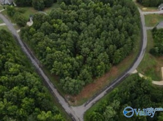 2485 Lookout Mount Dr, Scottsboro, AL 35769