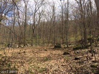 0 Warsaw Dr Unit 1000214803, Capon Bridge, WV 26711