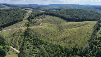 0 County Road 67, Piedmont, AL 36272